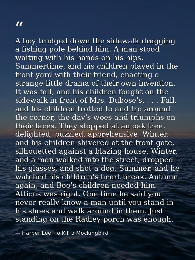 A boy trudged down the sidewalk dragging a fishing pole behind him. A man stood waiting with his hands on his hips. Summ — Harper Lee, To Kill a Mockingbird