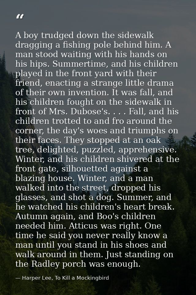 A boy trudged down the sidewalk dragging a fishing pole behind him. A man stood waiting with his hands on his hips. Summ — Harper Lee, To Kill a Mockingbird