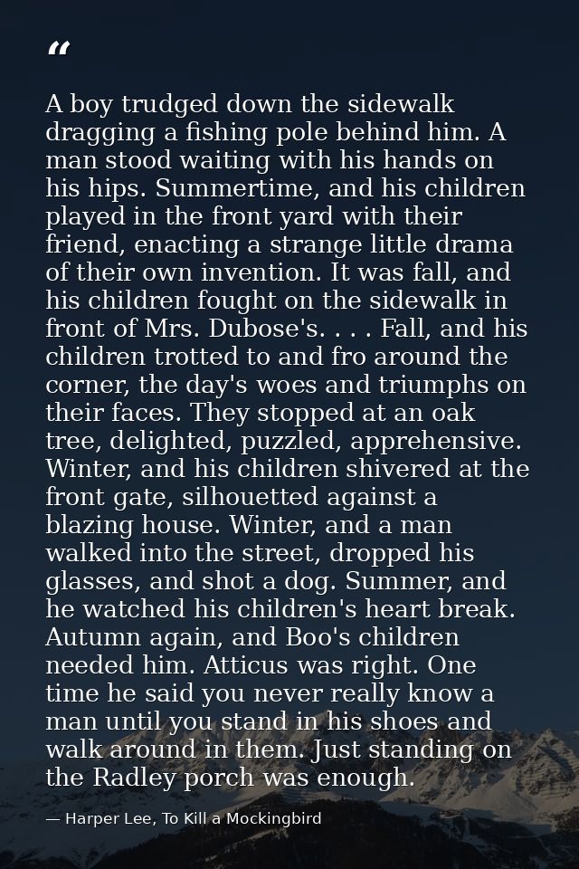 A boy trudged down the sidewalk dragging a fishing pole behind him. A man stood waiting with his hands on his hips. Summ — Harper Lee, To Kill a Mockingbird
