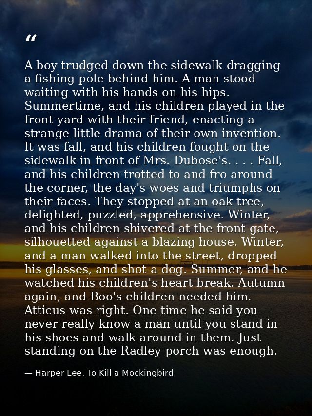 A boy trudged down the sidewalk dragging a fishing pole behind him. A man stood waiting with his hands on his hips. Summ — Harper Lee, To Kill a Mockingbird