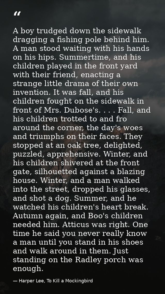A boy trudged down the sidewalk dragging a fishing pole behind him. A man stood waiting with his hands on his hips. Summ — Harper Lee, To Kill a Mockingbird