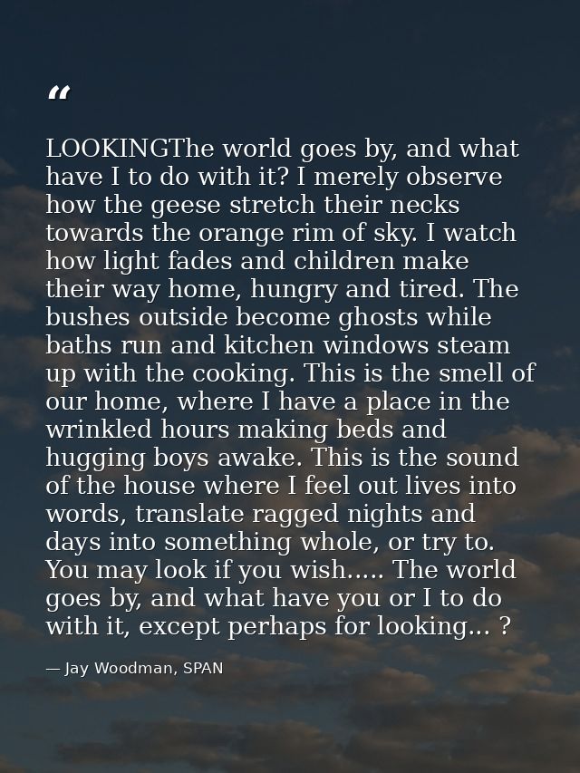 LOOKINGThe world goes by, and what have I to do with it? I merely observe how the geese stretch their necks towards the  — Jay Woodman, SPAN