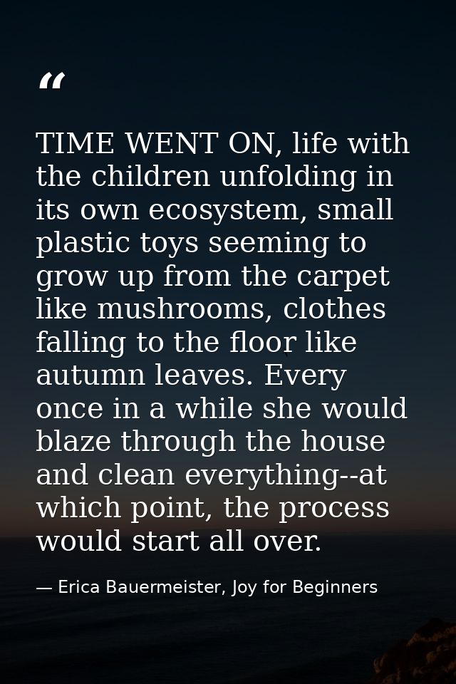 TIME WENT ON, life with the children unfolding in its own ecosystem, small plastic toys seeming to grow up from the carp — Erica Bauermeister, Joy for Beginners