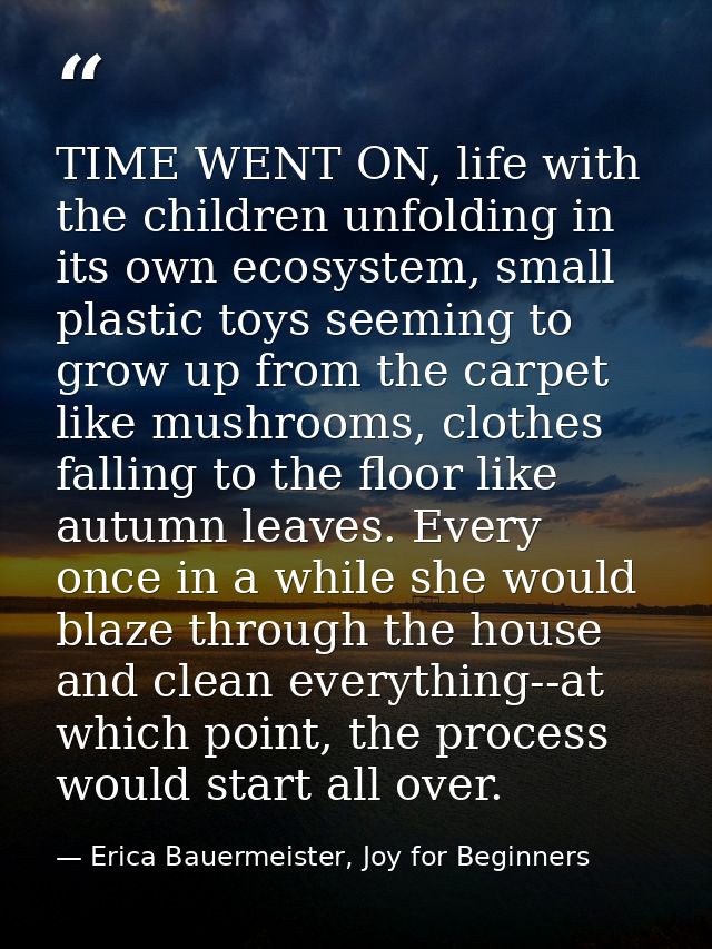 TIME WENT ON, life with the children unfolding in its own ecosystem, small plastic toys seeming to grow up from the carp — Erica Bauermeister, Joy for Beginners