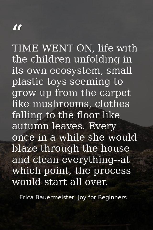 TIME WENT ON, life with the children unfolding in its own ecosystem, small plastic toys seeming to grow up from the carp — Erica Bauermeister, Joy for Beginners