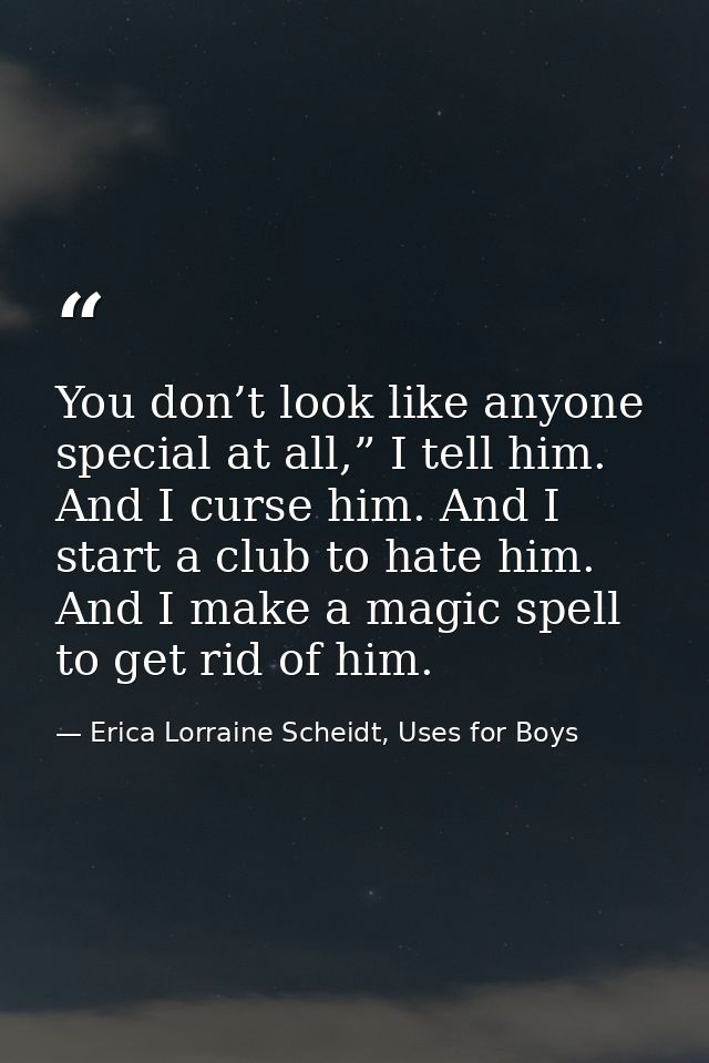 You don’t look like anyone special at all,” I tell him. And I curse him. And I start a club to hate him. And I make a ma — Erica Lorraine Scheidt, Uses for Boys