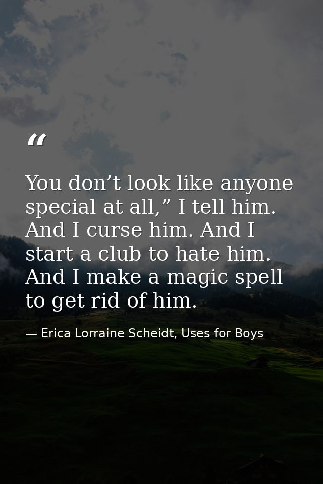 You don’t look like anyone special at all,” I tell him. And I curse him. And I start a club to hate him. And I make a ma — Erica Lorraine Scheidt, Uses for Boys