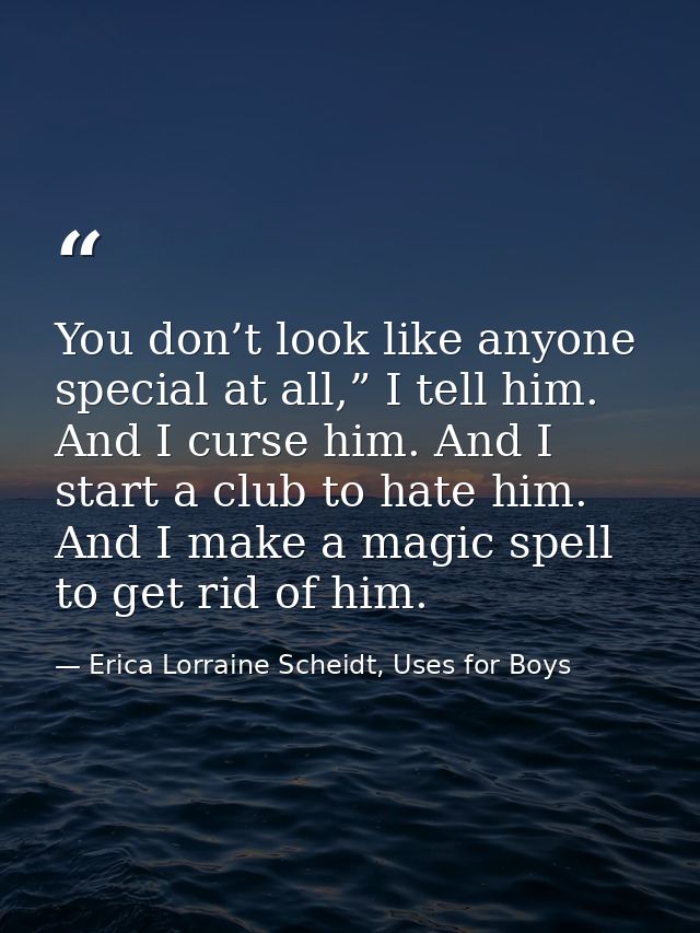 You don’t look like anyone special at all,” I tell him. And I curse him. And I start a club to hate him. And I make a ma — Erica Lorraine Scheidt, Uses for Boys