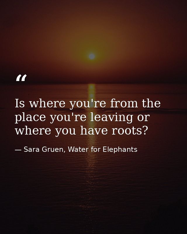 Is where you're from the place you're leaving or where you have roots? — Sara Gruen, Water for Elephants