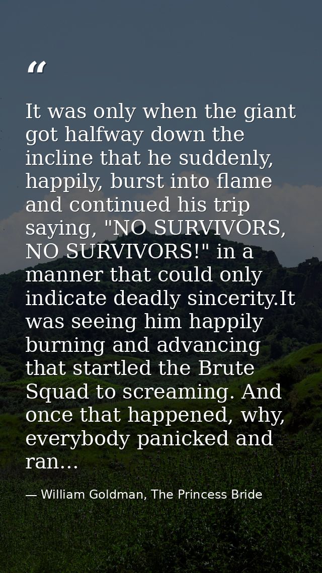 It was only when the giant got halfway down the incline that he suddenly, happily, burst into flame and continued his tr — William Goldman, The Princess Bride