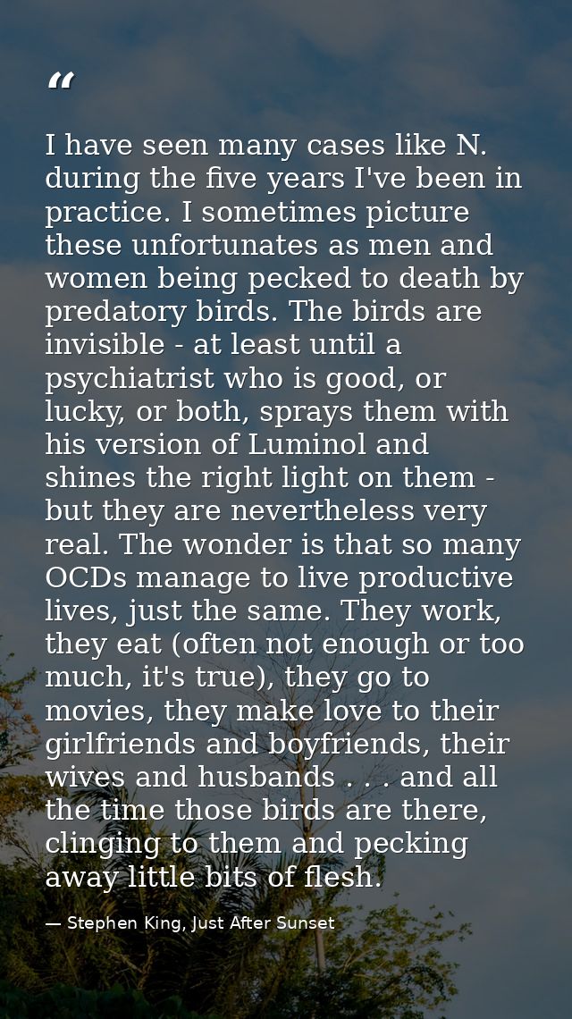 I have seen many cases like N. during the five years I've been in practice. I sometimes picture these unfortunates as me — Stephen King, Just After Sunset