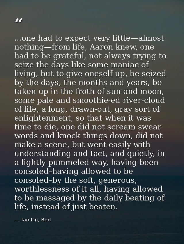 ...one had to expect very little—almost nothing—from life, Aaron knew, one had to be grateful, not always trying to seiz — Tao Lin, Bed