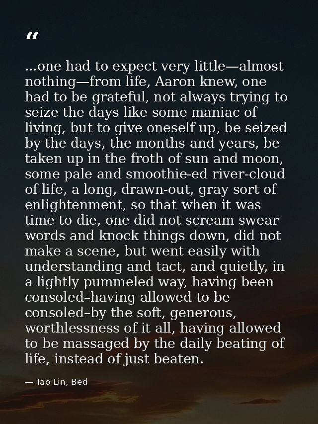 ...one had to expect very little—almost nothing—from life, Aaron knew, one had to be grateful, not always trying to seiz — Tao Lin, Bed
