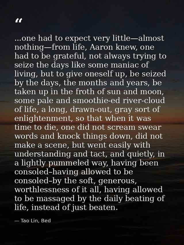 ...one had to expect very little—almost nothing—from life, Aaron knew, one had to be grateful, not always trying to seiz — Tao Lin, Bed