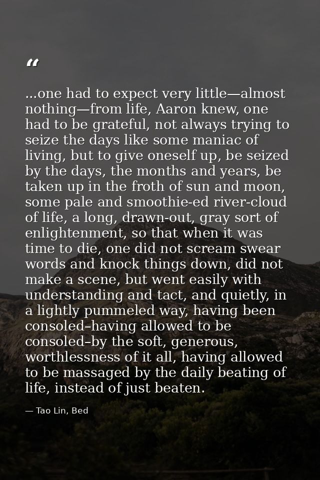 ...one had to expect very little—almost nothing—from life, Aaron knew, one had to be grateful, not always trying to seiz — Tao Lin, Bed