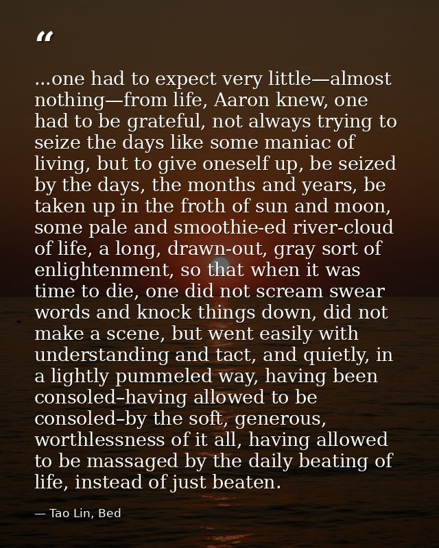 ...one had to expect very little—almost nothing—from life, Aaron knew, one had to be grateful, not always trying to seiz — Tao Lin, Bed
