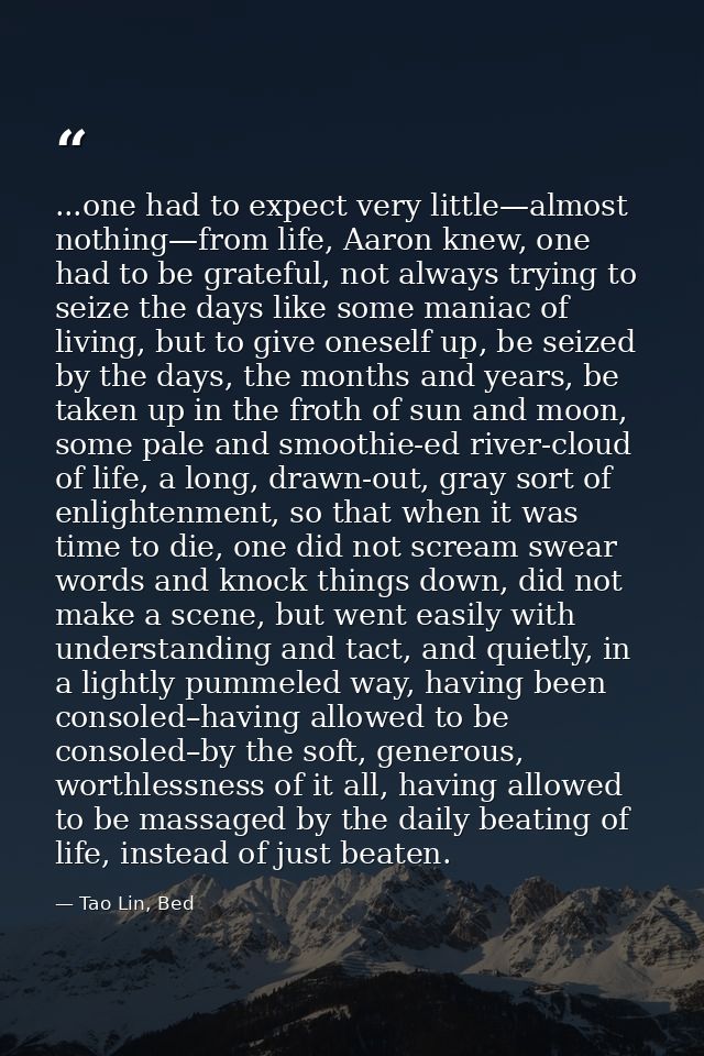 ...one had to expect very little—almost nothing—from life, Aaron knew, one had to be grateful, not always trying to seiz — Tao Lin, Bed
