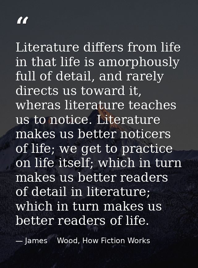 Literature differs from life in that life is amorphously full of detail, and rarely directs us toward it, wheras literat — James    Wood, How Fiction Works