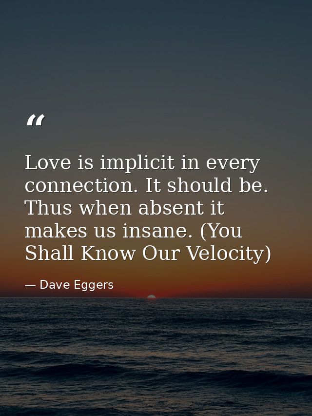 Love is implicit in every connection. It should be. Thus when absent it makes us insane. (You Shall Know Our Velocity) — Dave Eggers
