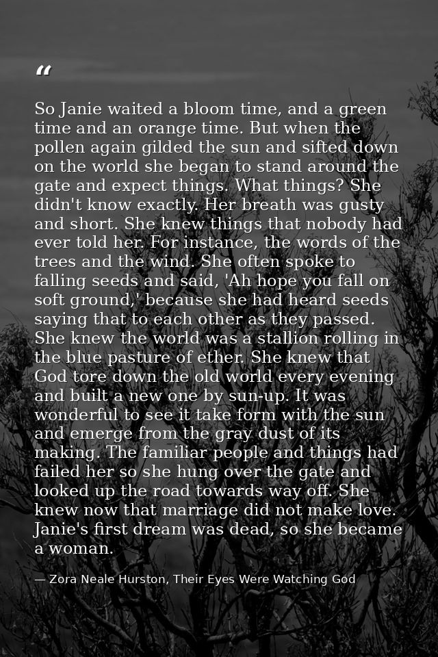 So Janie waited a bloom time, and a green time and an orange time. But when the pollen again gilded the sun and sifted d — Zora Neale Hurston, Their Eyes Were Watching God