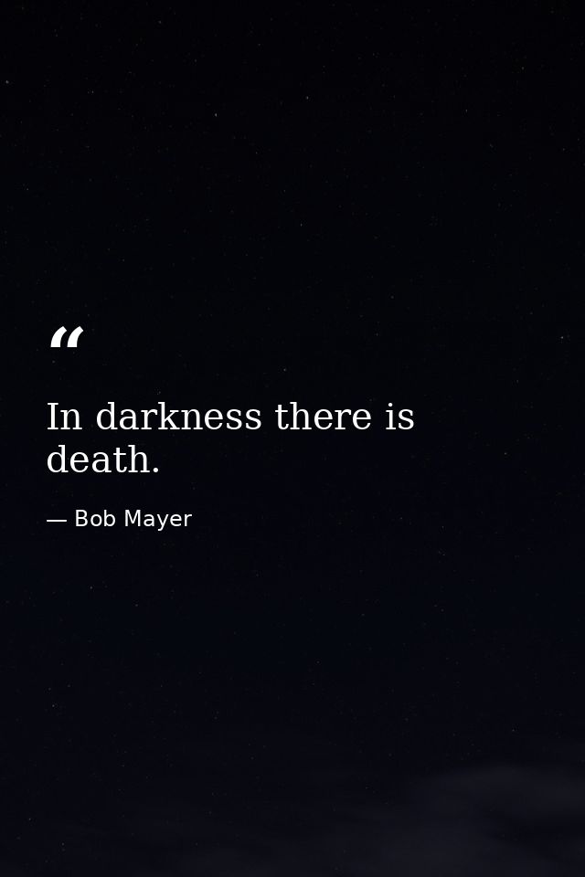 In darkness there is death. — Bob Mayer