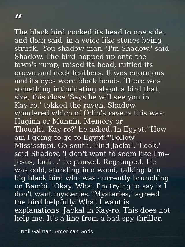 The black bird cocked its head to one side, and then said, in a voice like stones being struck, 'You shadow man.''I'm Sh — Neil Gaiman, American Gods