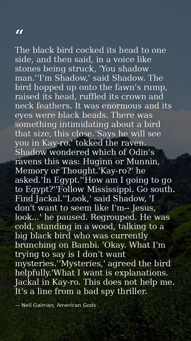 The black bird cocked its head to one side, and then said, in a voice like stones being struck, 'You shadow man.''I'm Sh — Neil Gaiman, American Gods