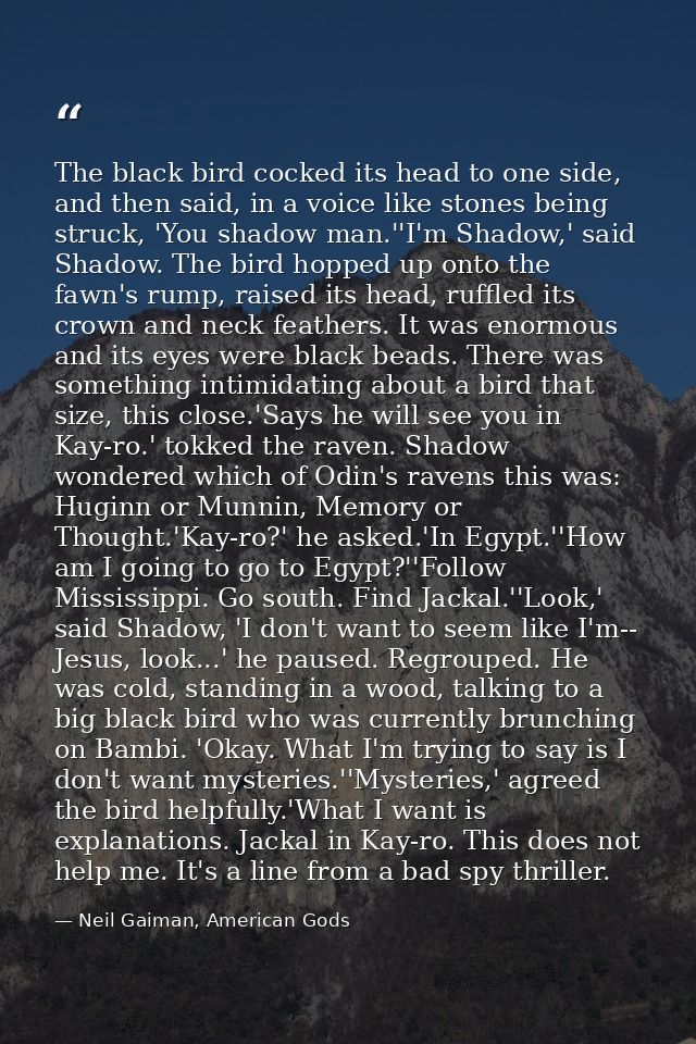 The black bird cocked its head to one side, and then said, in a voice like stones being struck, 'You shadow man.''I'm Sh — Neil Gaiman, American Gods
