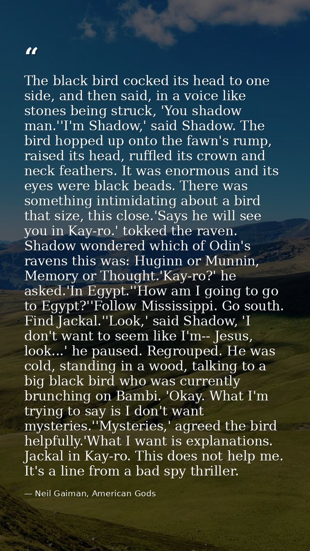 The black bird cocked its head to one side, and then said, in a voice like stones being struck, 'You shadow man.''I'm Sh — Neil Gaiman, American Gods