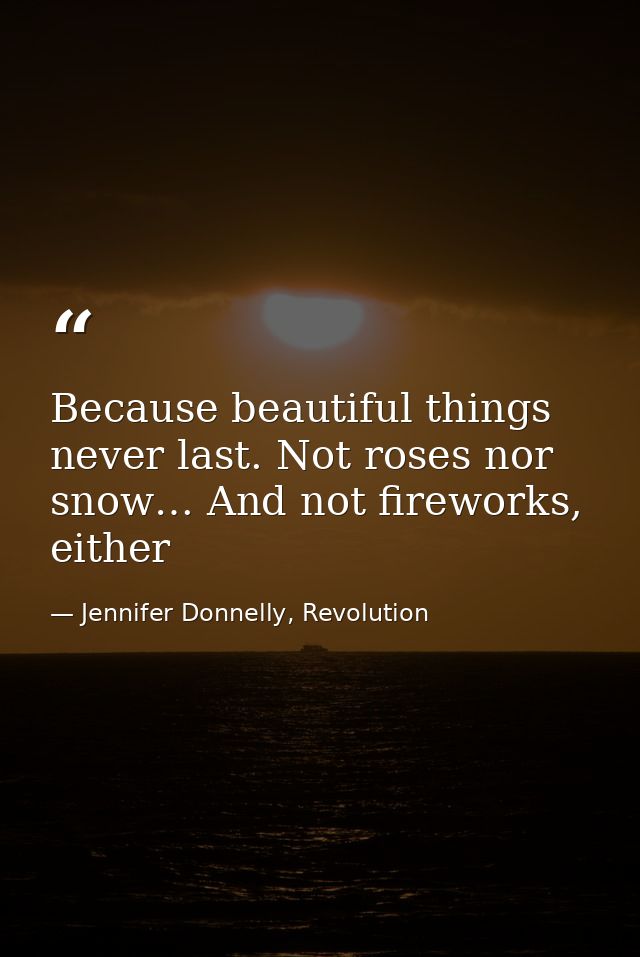 Because beautiful things never last. Not roses nor snow… And not fireworks, either — Jennifer Donnelly, Revolution