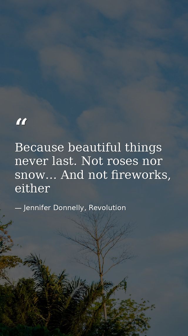 Because beautiful things never last. Not roses nor snow… And not fireworks, either — Jennifer Donnelly, Revolution