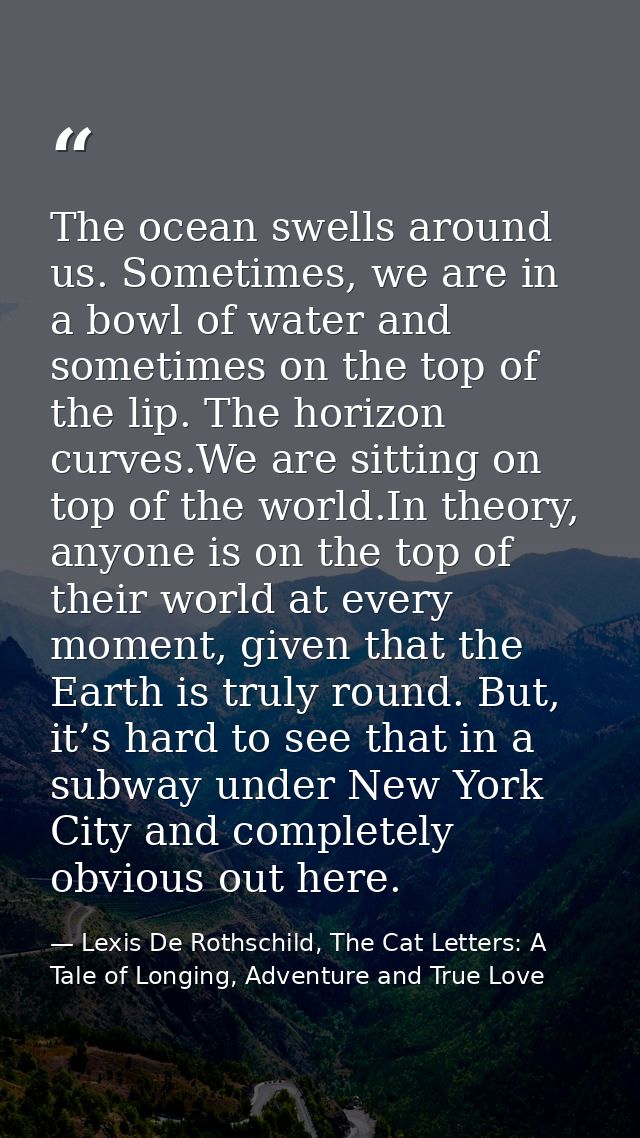 The ocean swells around us. Sometimes, we are in a bowl of water and sometimes on the top of the lip. The horizon curves — Lexis De Rothschild, The Cat Letters: A Tale of Longing, Adventure and True Love
