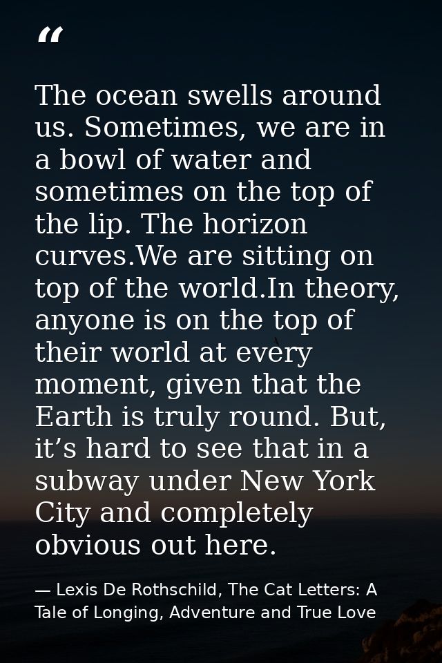 The ocean swells around us. Sometimes, we are in a bowl of water and sometimes on the top of the lip. The horizon curves — Lexis De Rothschild, The Cat Letters: A Tale of Longing, Adventure and True Love