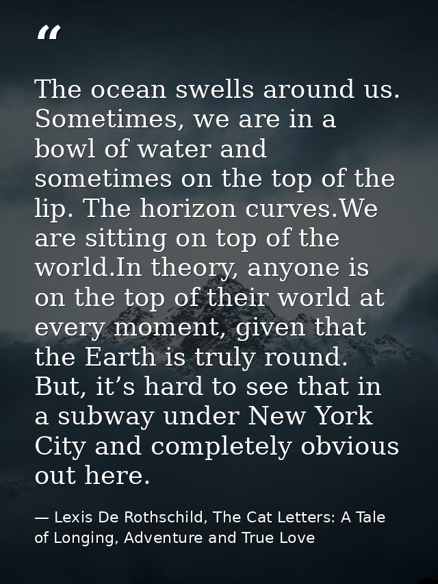 The ocean swells around us. Sometimes, we are in a bowl of water and sometimes on the top of the lip. The horizon curves — Lexis De Rothschild, The Cat Letters: A Tale of Longing, Adventure and True Love