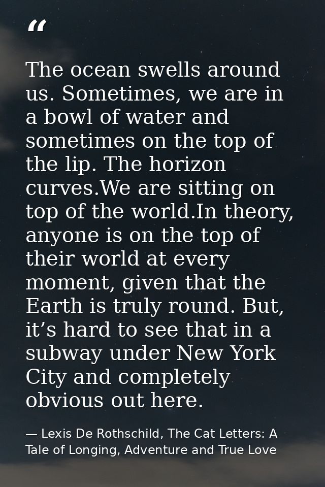 The ocean swells around us. Sometimes, we are in a bowl of water and sometimes on the top of the lip. The horizon curves — Lexis De Rothschild, The Cat Letters: A Tale of Longing, Adventure and True Love
