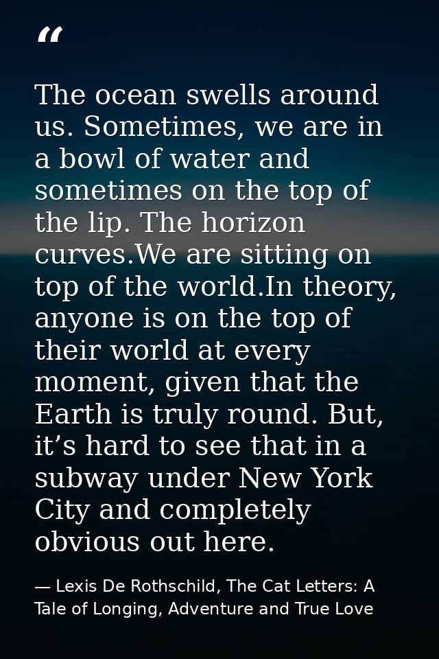 The ocean swells around us. Sometimes, we are in a bowl of water and sometimes on the top of the lip. The horizon curves — Lexis De Rothschild, The Cat Letters: A Tale of Longing, Adventure and True Love