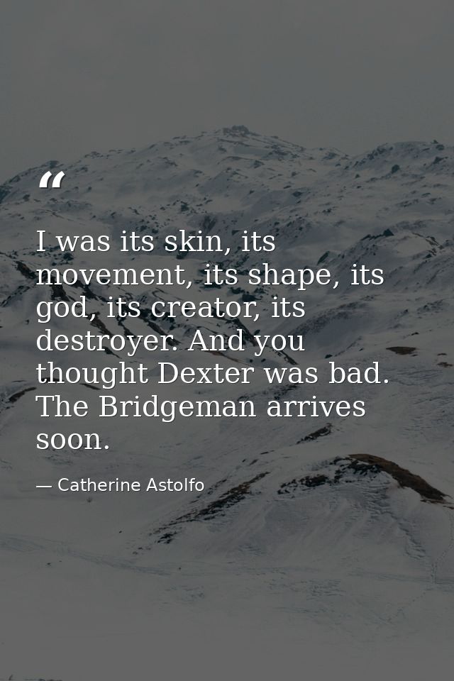 I was its skin, its movement, its shape, its god, its creator, its destroyer. And you thought Dexter was bad. The Bridge — Catherine Astolfo