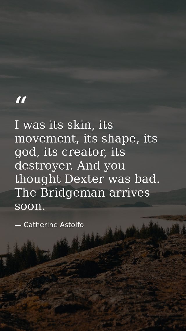 I was its skin, its movement, its shape, its god, its creator, its destroyer. And you thought Dexter was bad. The Bridge — Catherine Astolfo