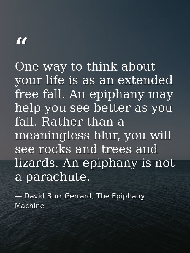 One way to think about your life is as an extended free fall. An epiphany may help you see better as you fall. Rather th — David Burr Gerrard, The Epiphany Machine