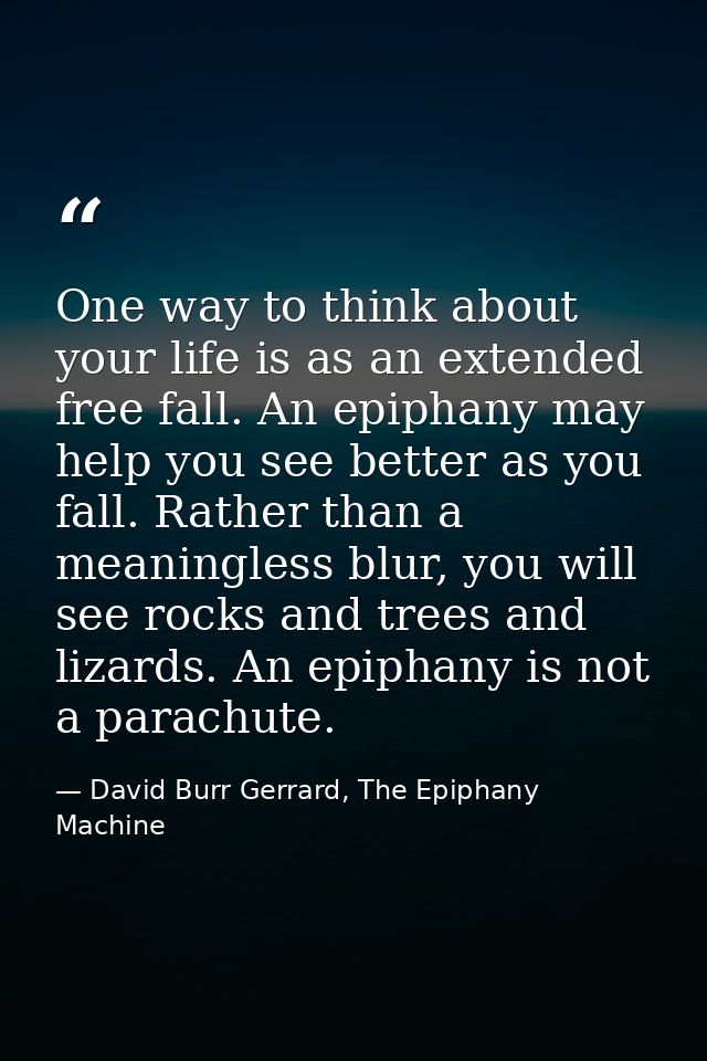 One way to think about your life is as an extended free fall. An epiphany may help you see better as you fall. Rather th — David Burr Gerrard, The Epiphany Machine