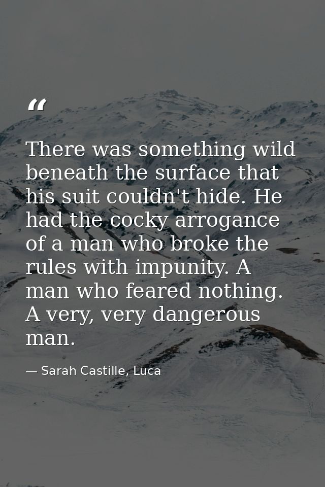There was something wild beneath the surface that his suit couldn't hide. He had the cocky arrogance of a man who broke  — Sarah Castille, Luca