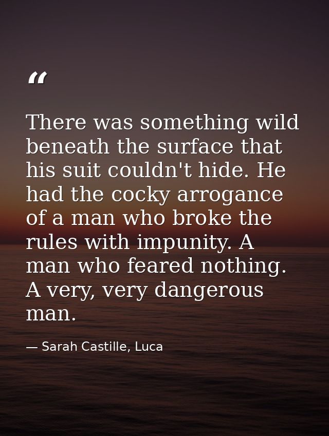 There was something wild beneath the surface that his suit couldn't hide. He had the cocky arrogance of a man who broke  — Sarah Castille, Luca