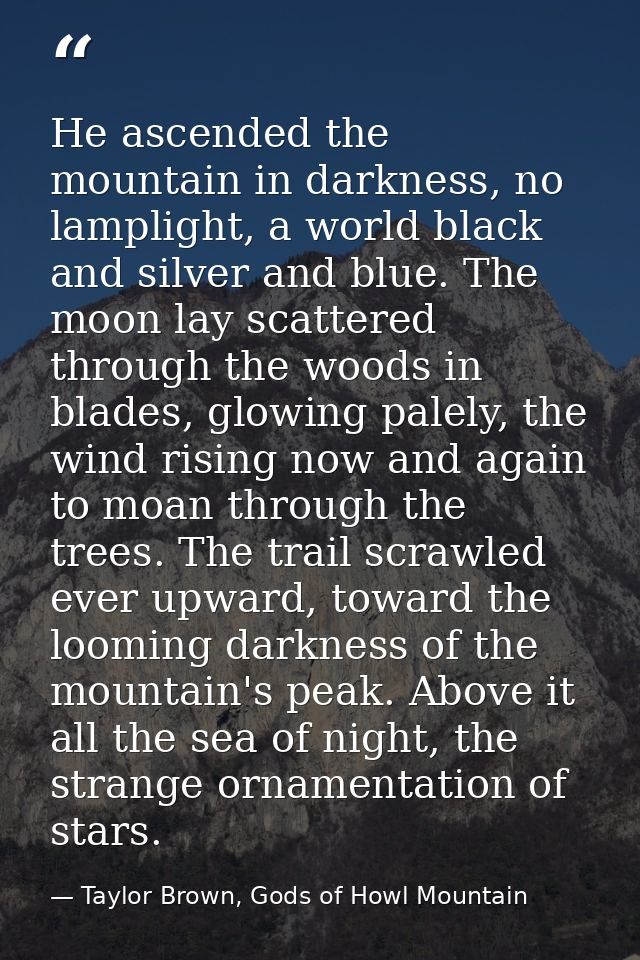 He ascended the mountain in darkness, no lamplight, a world black and silver and blue. The moon lay scattered through th — Taylor Brown, Gods of Howl Mountain