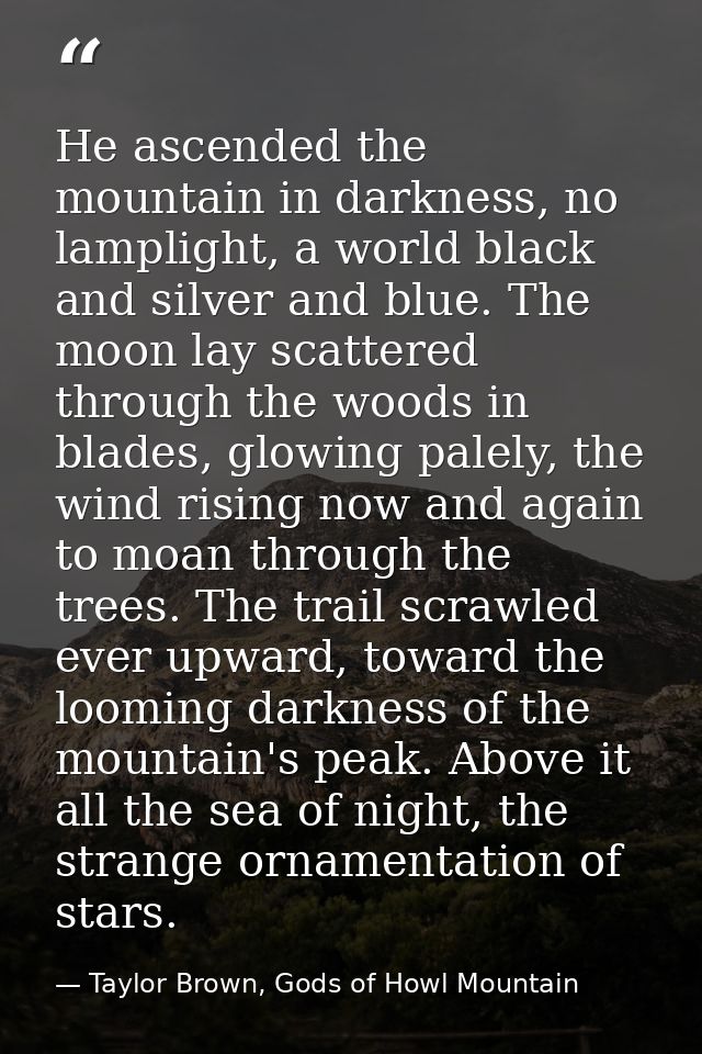 He ascended the mountain in darkness, no lamplight, a world black and silver and blue. The moon lay scattered through th — Taylor Brown, Gods of Howl Mountain