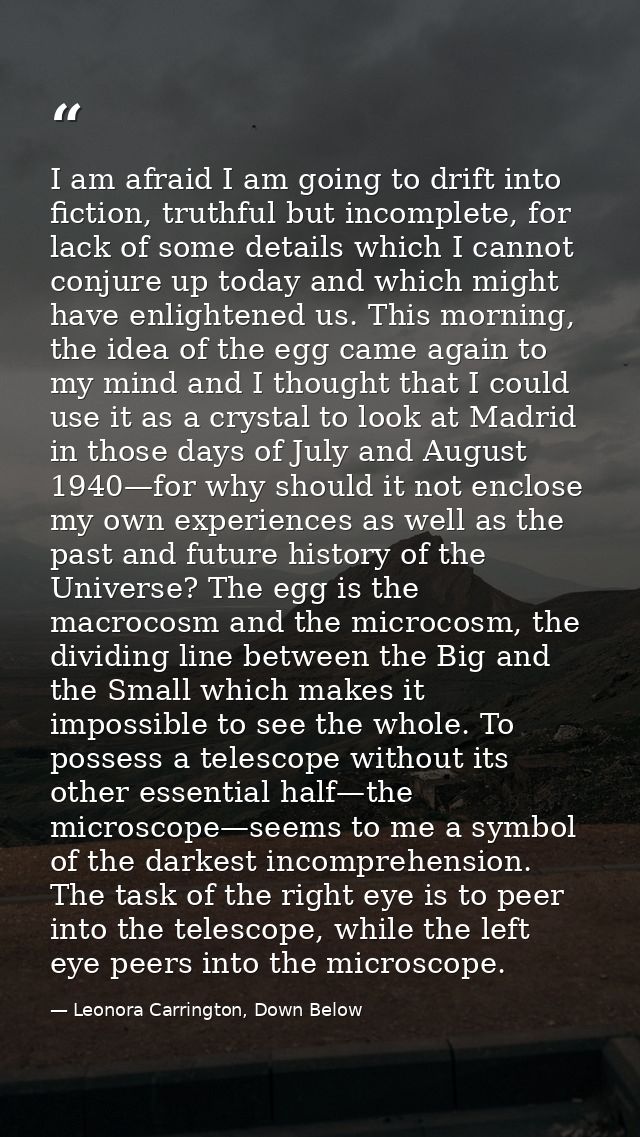 I am afraid I am going to drift into fiction, truthful but incomplete, for lack of some details which I cannot conjure u — Leonora Carrington, Down Below