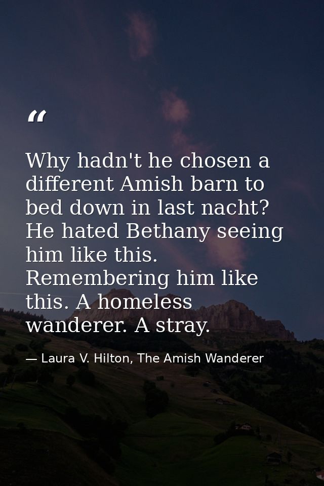 Why hadn't he chosen a different Amish barn to bed down in last nacht? He hated Bethany seeing him like this. Rememberin — Laura V. Hilton, The Amish Wanderer