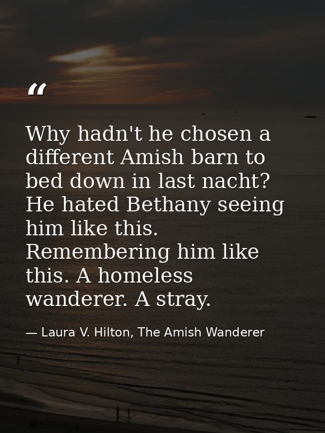 Why hadn't he chosen a different Amish barn to bed down in last nacht? He hated Bethany seeing him like this. Rememberin — Laura V. Hilton, The Amish Wanderer