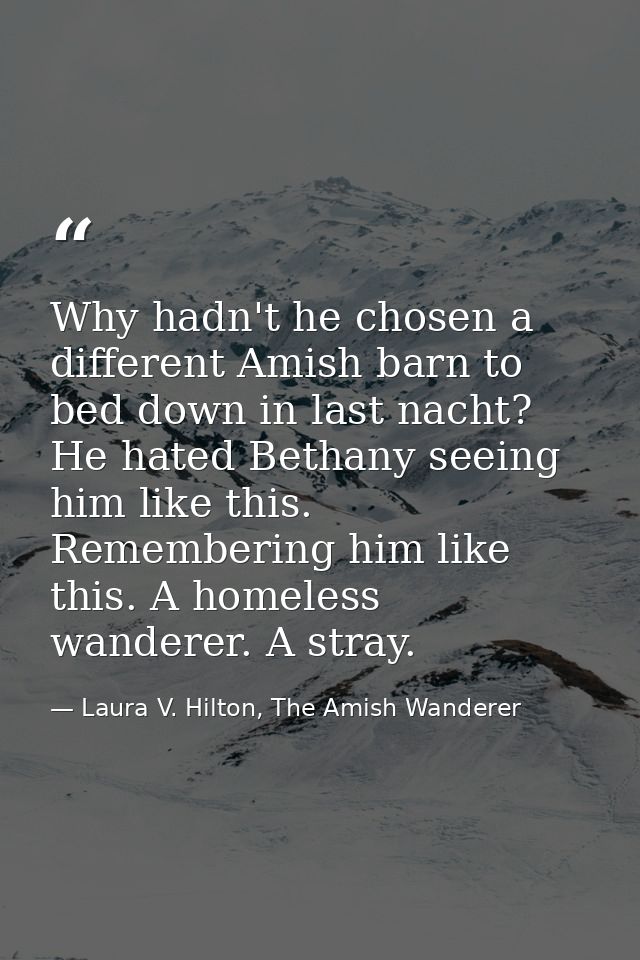 Why hadn't he chosen a different Amish barn to bed down in last nacht? He hated Bethany seeing him like this. Rememberin — Laura V. Hilton, The Amish Wanderer