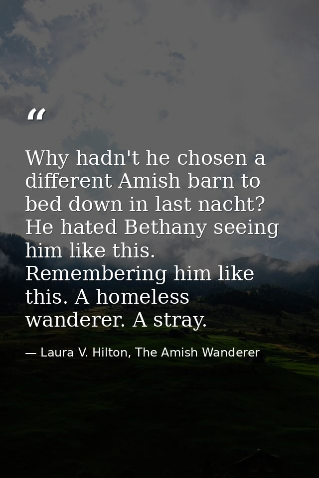 Why hadn't he chosen a different Amish barn to bed down in last nacht? He hated Bethany seeing him like this. Rememberin — Laura V. Hilton, The Amish Wanderer