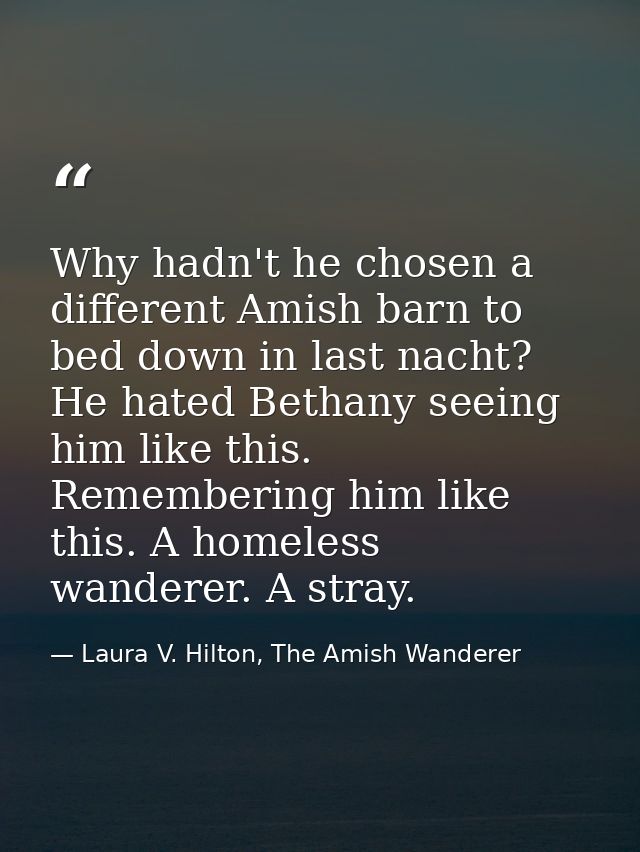 Why hadn't he chosen a different Amish barn to bed down in last nacht? He hated Bethany seeing him like this. Rememberin — Laura V. Hilton, The Amish Wanderer